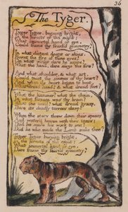Songs of Innocence and of Experience, Plate 36, The Tyger (Bentley 42)